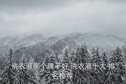  洗衣液哪個牌子好 洗衣液十大 排名推薦