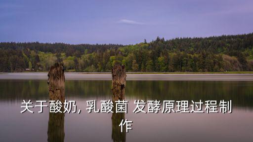 關(guān)于酸奶, 乳酸菌 發(fā)酵原理過(guò)程制作