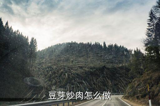豆芽炒肉怎么做