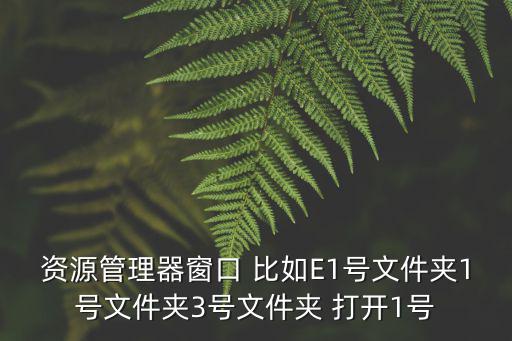 資源管理器窗口 比如E1號文件夾1號文件夾3號文件夾 打開1號
