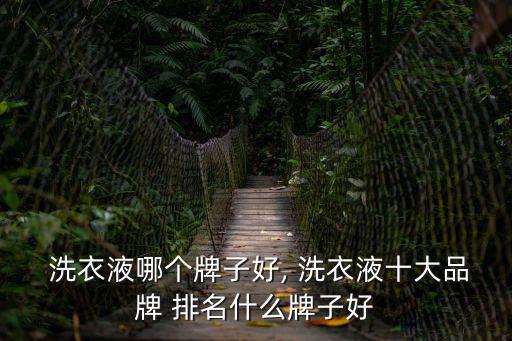  洗衣液哪個牌子好, 洗衣液十大品牌 排名什么牌子好