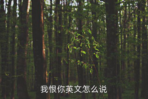 我恨你英文怎么說