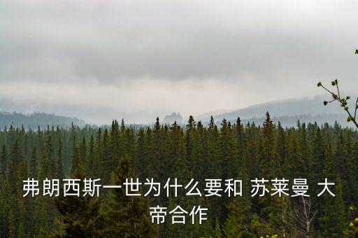 蘇萊曼大帝,蘇萊曼大帝的兒子成為奧斯曼帝國(guó)的新繼承人