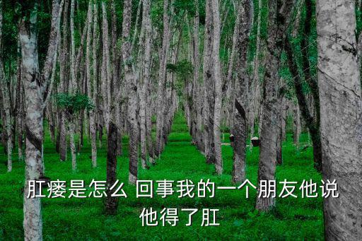  肛瘺是怎么 回事我的一個朋友他說他得了肛
