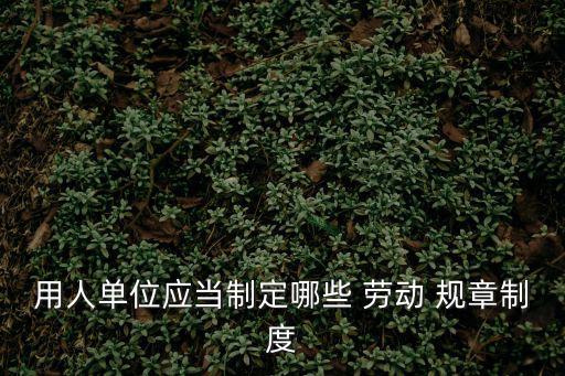 用人單位應當制定哪些 勞動 規章制度