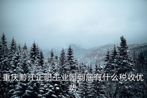 重慶市黔江正陽工業(yè)園稅收，重慶黔江正陽工業(yè)園到底有什么稅收優(yōu)勢