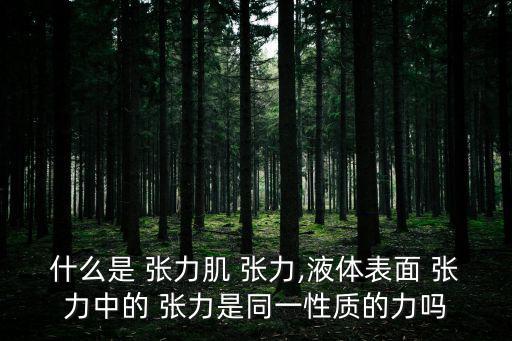什么是 張力肌 張力,液體表面 張力中的 張力是同一性質的力嗎