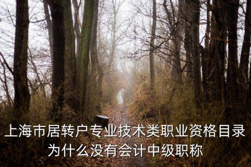 上海市居轉戶專業技術類職業資格目錄為什么沒有會計中級職稱