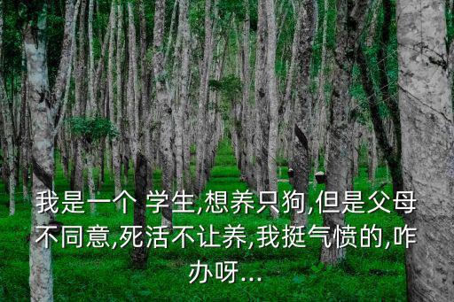 我是一個 學生,想養只狗,但是父母不同意,死活不讓養,我挺氣憤的,咋辦呀...