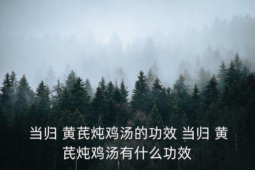  當歸 黃芪燉雞湯的功效 當歸 黃芪燉雞湯有什么功效