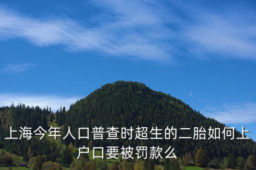 上海今年人口普查時(shí)超生的二胎如何上戶口要被罰款么