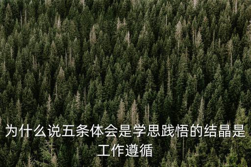 為什么說五條體會是學思踐悟的結晶是工作遵循