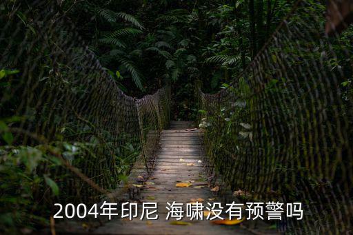  2004年印尼 海嘯沒有預警嗎