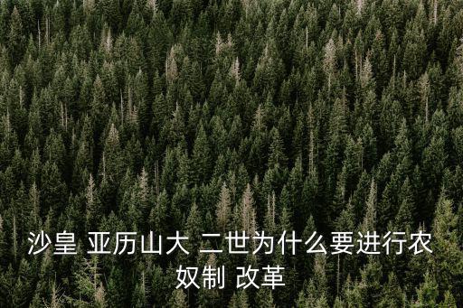 沙皇 亞歷山大 二世為什么要進行農奴制 改革