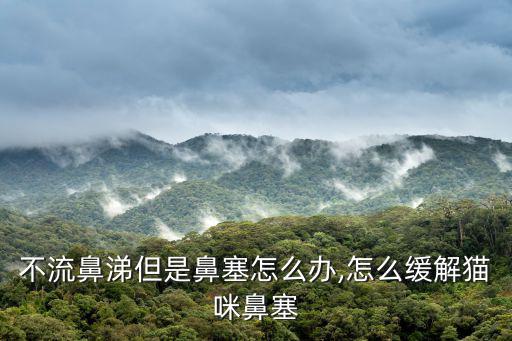 不流鼻涕但是鼻塞怎么辦,怎么緩解貓咪鼻塞