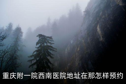 重慶附一院西南醫(yī)院地址在那怎樣預(yù)約