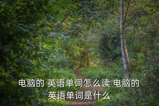  電腦的 英語單詞怎么讀 電腦的 英語單詞是什么