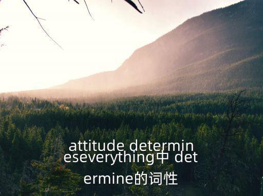 determine的名詞,新傳媒5頻道播出第二場選區廣播