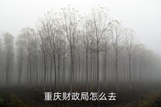 重慶財(cái)政局怎么去
