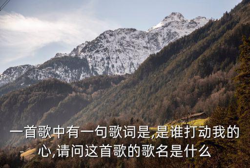 是誰偷了誰的心,《誰偷走我的心》改編電視劇講述愛與恨