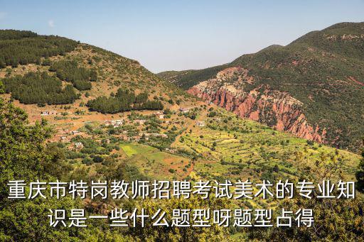 重慶市特崗教師招聘考試美術(shù)的專業(yè)知識是一些什么題型呀題型占得