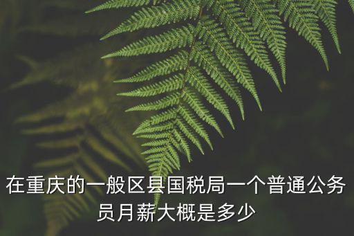 在重慶的一般區(qū)縣國稅局一個普通公務(wù)員月薪大概是多少