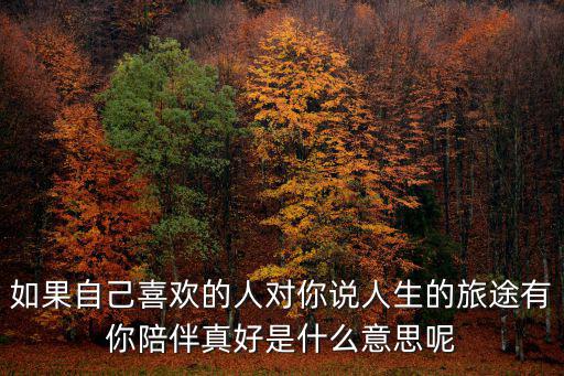 如果自己喜歡的人對你說人生的旅途有你陪伴真好是什么意思呢