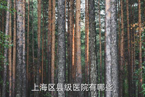 上海區(qū)縣級醫(yī)院有哪些