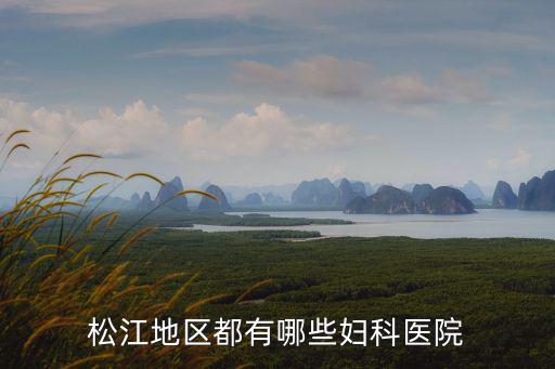 松江地區(qū)都有哪些婦科醫(yī)院