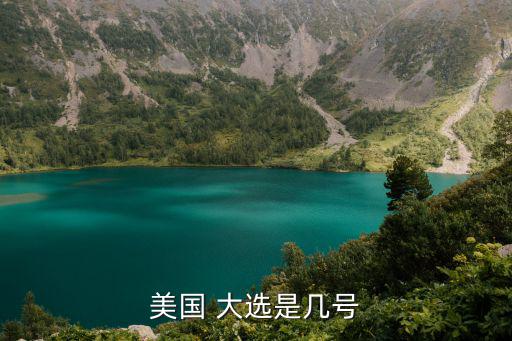 美國 大選是幾號(hào)