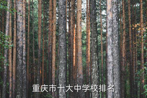 重慶市十大中學校排名