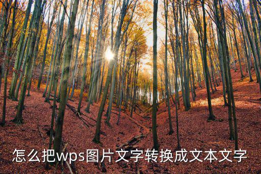 怎么把wps圖片文字轉換成文本文字