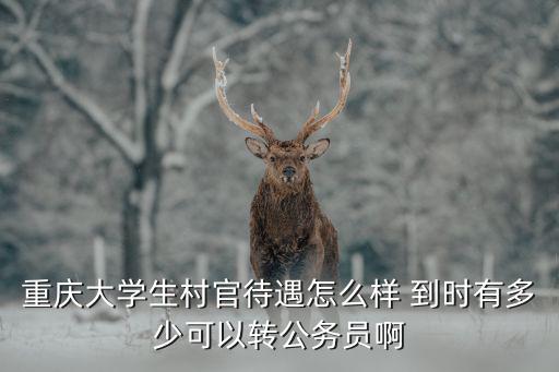 重慶大學生村官待遇怎么樣 到時有多少可以轉公務員啊