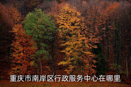 重慶市南岸區行政服務中心在哪里