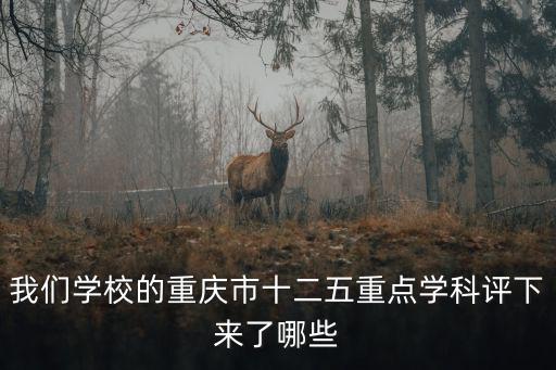 我們學(xué)校的重慶市十二五重點學(xué)科評下來了哪些