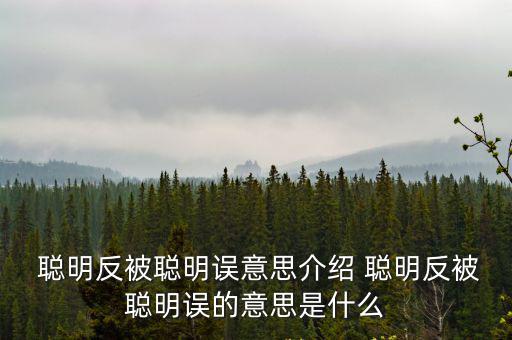  聰明反被聰明誤意思介紹 聰明反被聰明誤的意思是什么