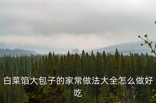 白菜餡大包子的家常做法大全怎么做好吃