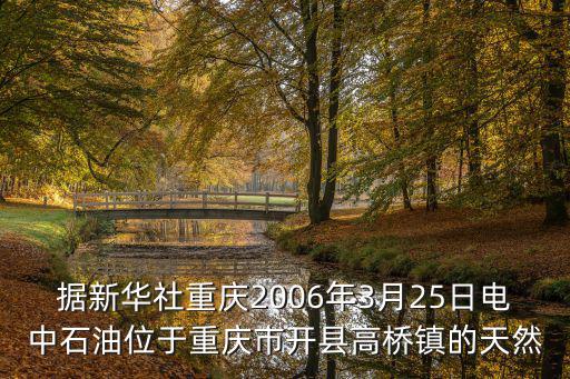 重慶市開縣鴻成電器，重慶市開縣的那個網吧能上網啊我年齡沒到