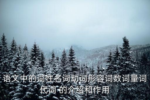 語文中的詞性名詞動(dòng)詞形容詞數(shù)詞量詞代詞 的介紹和作用