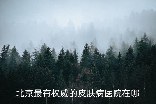 北京最有權威的皮膚病醫(yī)院在哪