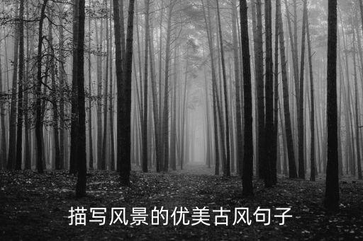描寫風(fēng)景的優(yōu)美古風(fēng)句子