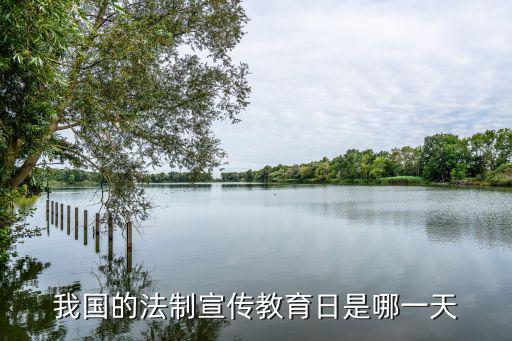 我國的法制宣傳教育日是哪一天