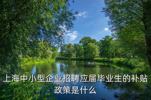 上海中小型企業招聘應屆畢業生的補貼政策是什么