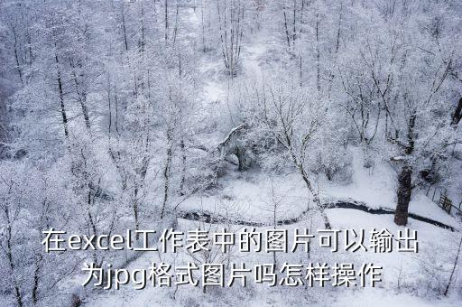 在excel工作表中的圖片可以輸出為jpg格式圖片嗎怎樣操作