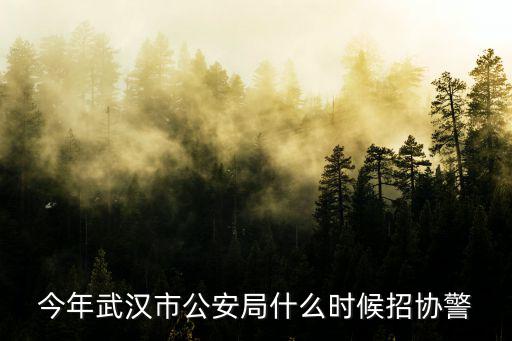 武漢市輔警招聘2022，武漢 最新 協(xié)警 招聘
