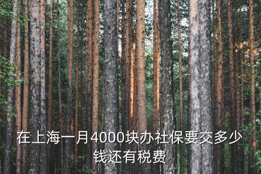在上海一月4000塊辦社保要交多少錢還有稅費