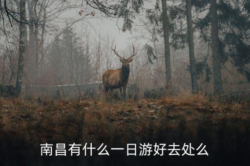 南昌有什么一日游好去處么