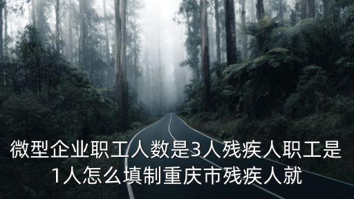 微型企業職工人數是3人殘疾人職工是1人怎么填制重慶市殘疾人就