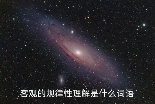 客觀的規(guī)律性理解是什么詞語