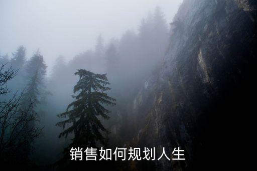 銷售如何規劃人生